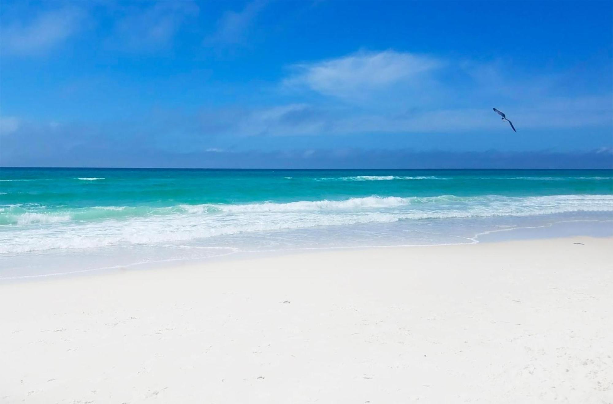 Twin Palms 804 Apartment Panama City Beach Ngoại thất bức ảnh